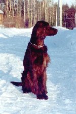 ���� 1.5 ����