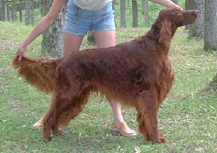 ��� � �������. 26.07.03. ���� Rita Pike